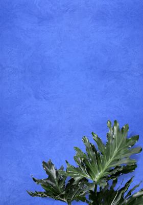 VELVET Silver Serisi